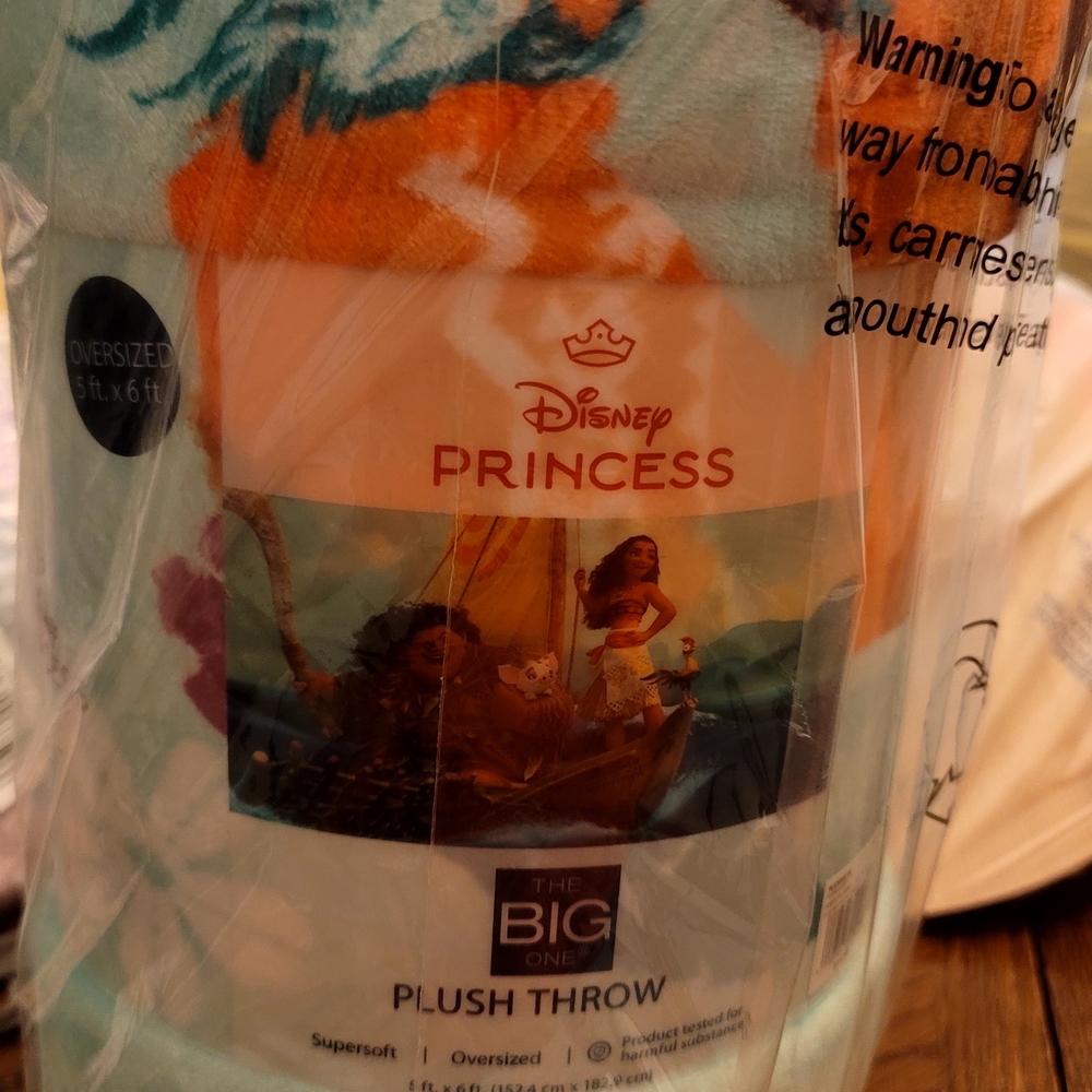 The Big One Disney Princess Plush Throw - Orange and Blue